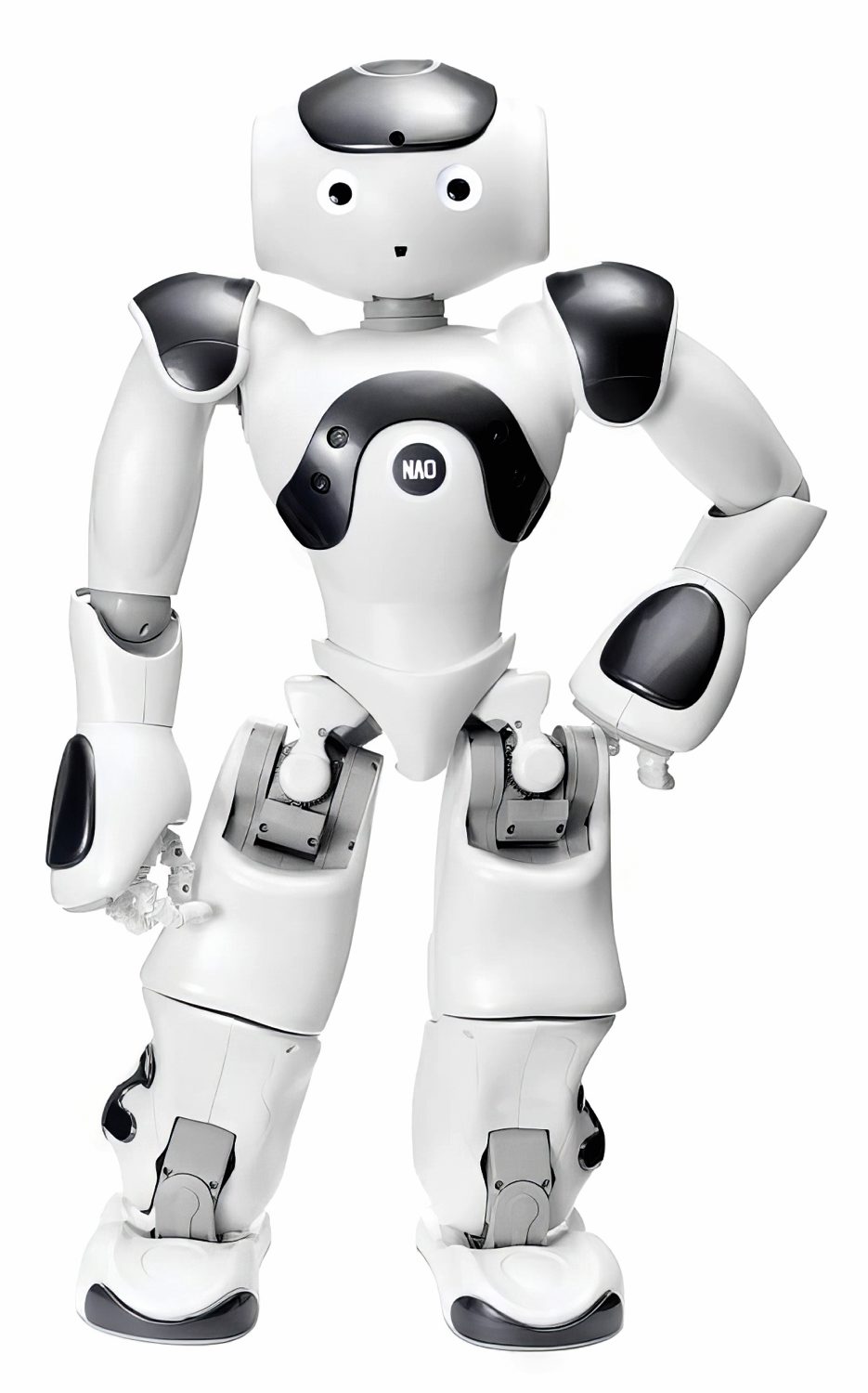 NAO